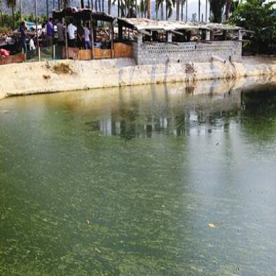 膜技術(shù)在養(yǎng)殖廢水處理中的應用進展